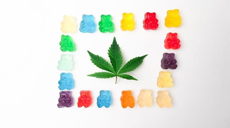 Cannabis passa Cranberries como a principal cultura do estado