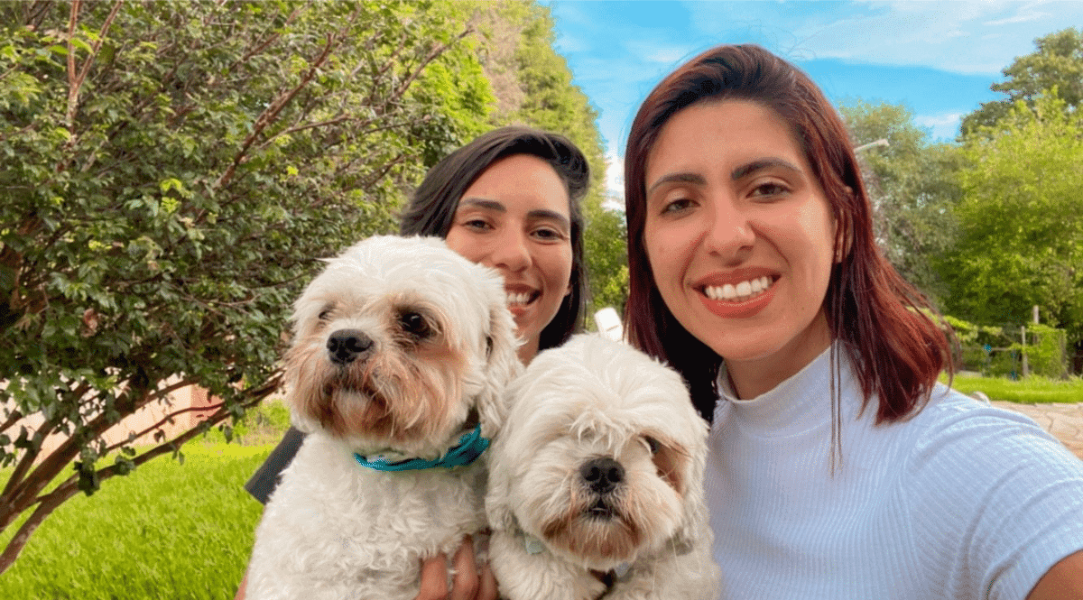 Cão ferido em ataque se recupera com canabidiol e inspira criação do clube de cannabis no Brasil