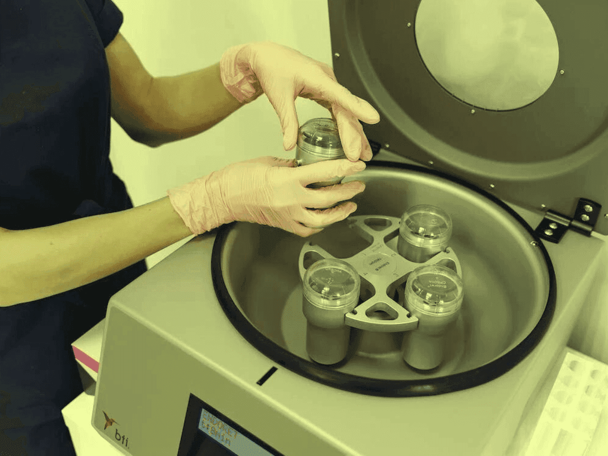 Cientistas tchecos desenvolvem alternativa sustentável ao plasma sanguíneo a partir do cânhamo