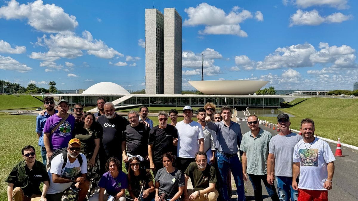 Associações visitam ministérios em busca de espaço na regulamentação da cannabis