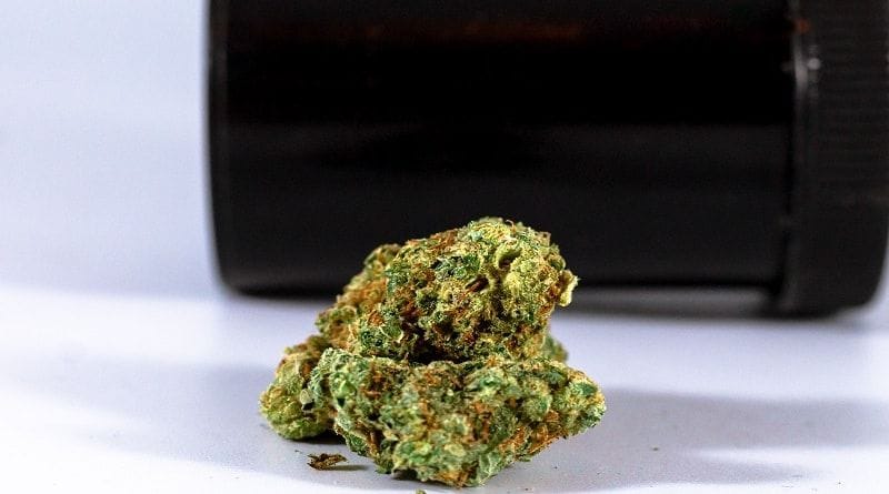 Colombia: Câmara aprova projeto de lei que regulamenta uso adulto de cannabis