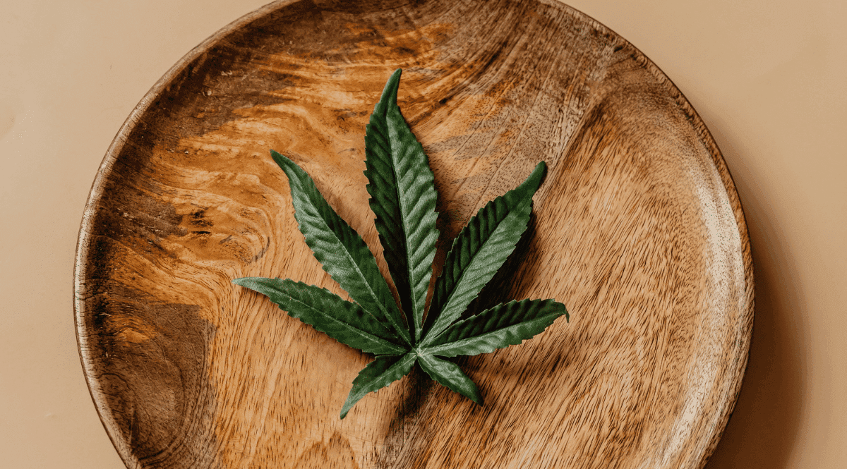 Com o argumento de preço elevado do óleo de canabidiol, paciente consegue autorização para plantar maconha em casa