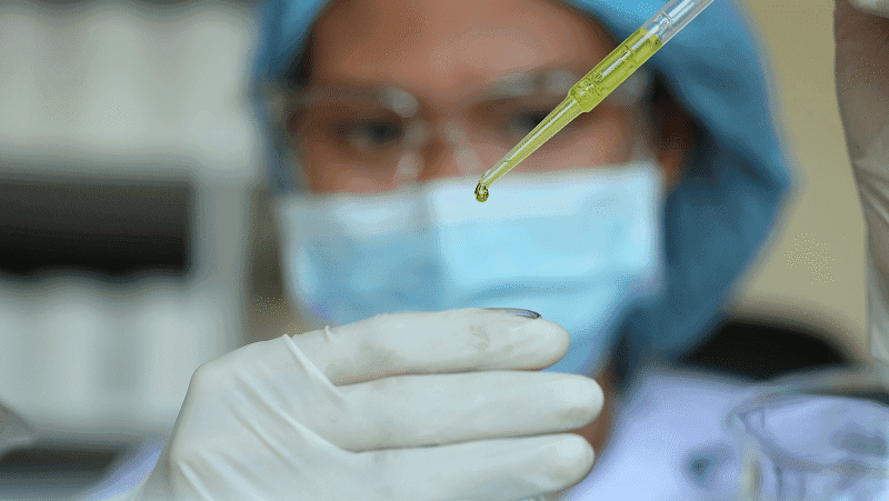 Como desenvolver pesquisas com cannabis no Brasil ?