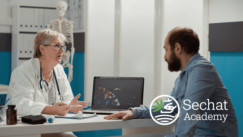 Como falar com seu médico sobre cannabis medicinal