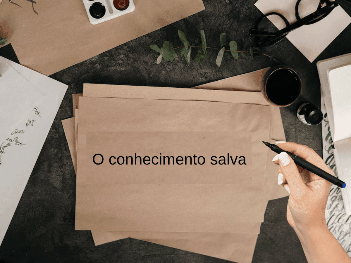Concorra a uma bolsa de estudos do Sechat Academy. Veja como participar