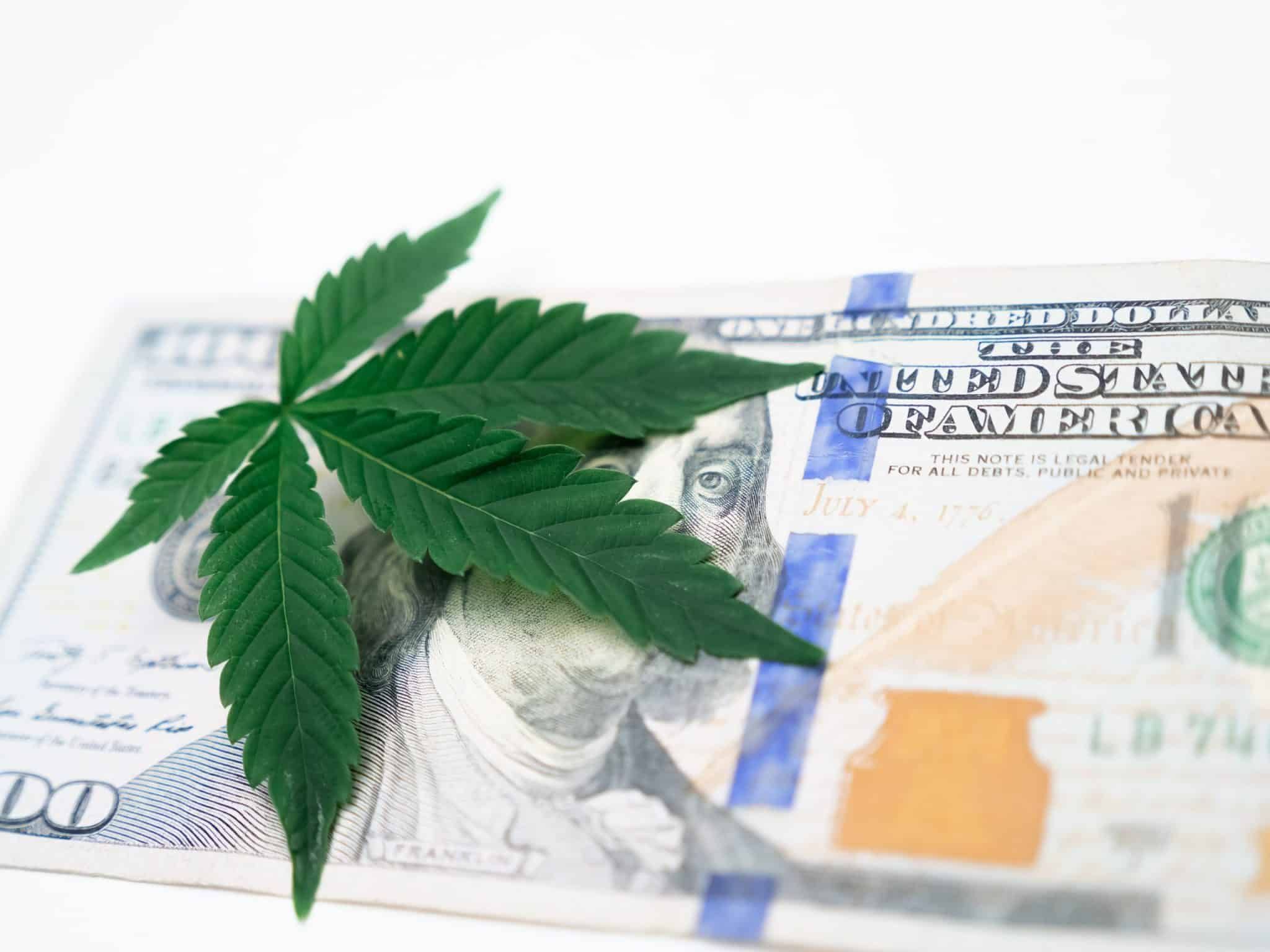 Congresso Brasileiro da Cannabis Medicinal amplia debate sobre os negócios da cannabis; entenda por que o Brasil é um mercado promissor