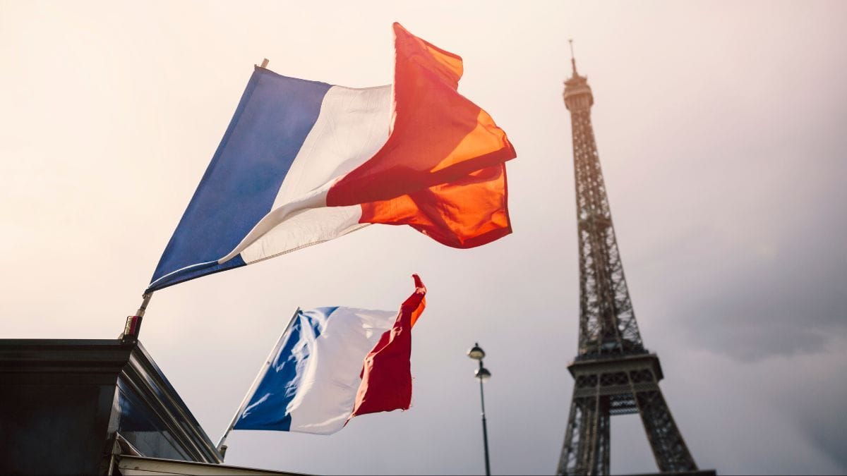 França lidera mercado europeu de cânhamo industrial e fortalece setor da cannabis na Europa
