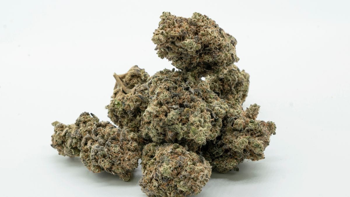 Colômbia regulamenta uso medicinal da flor de cannabis e promete agilizar licenças para o setor