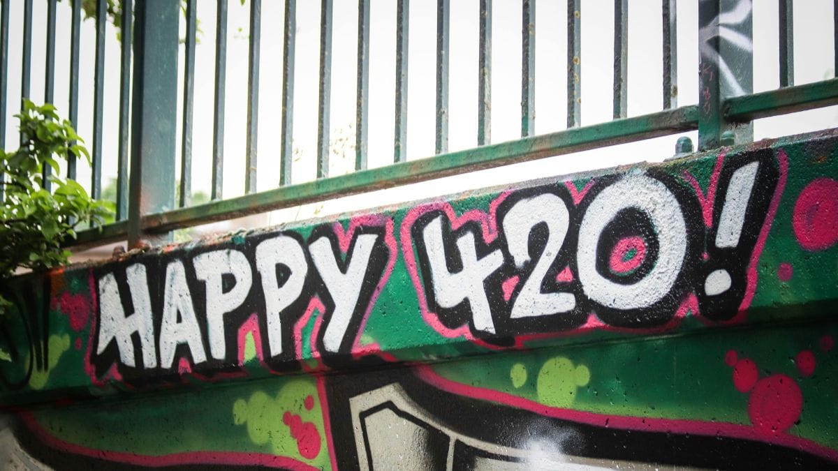 Análise do varejo de cannabis no 4 e 20 atrai consumidores | CanvaPro