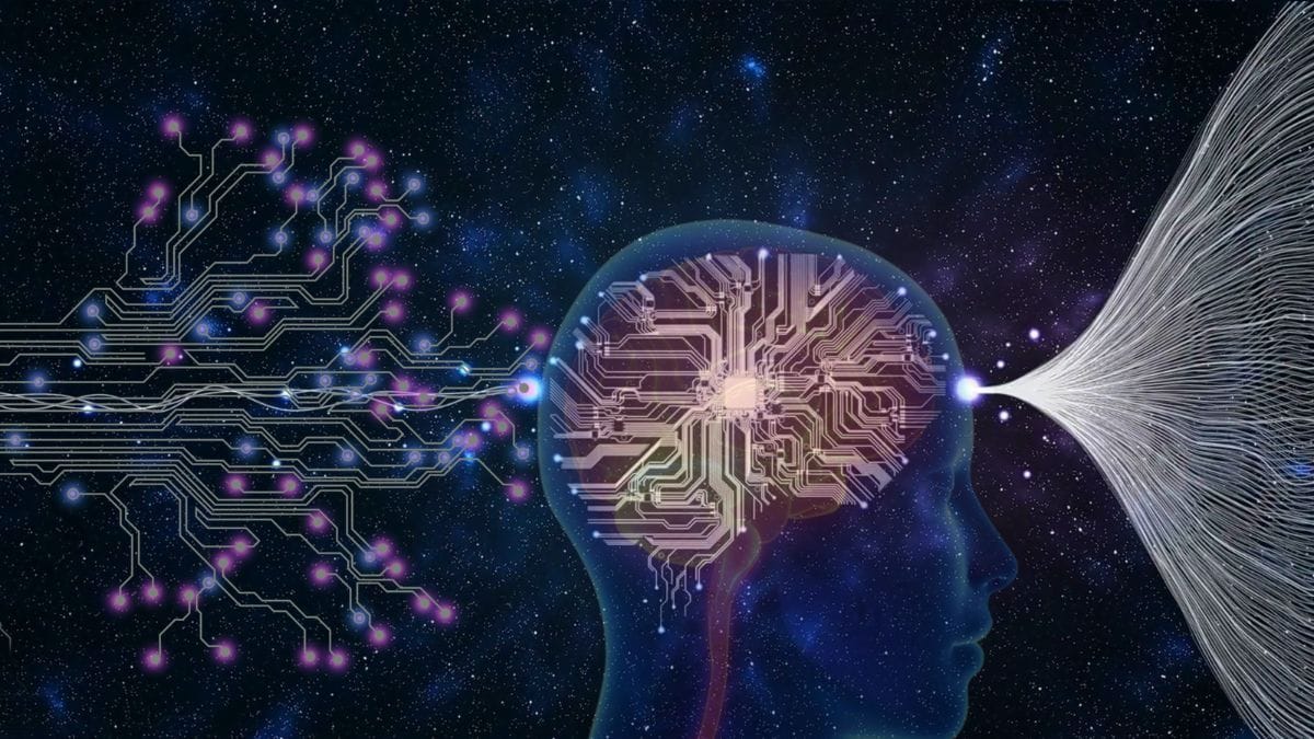 Representação do cérebro humano com destaque para ação do CBD na função cognitiva | CanvaPro