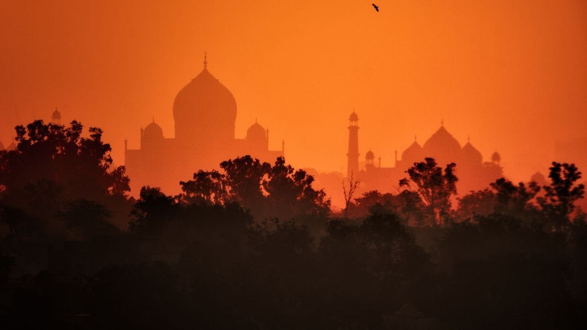 Pesquisa genética da cannabis na Índia para uso medicinal | CanvaPro