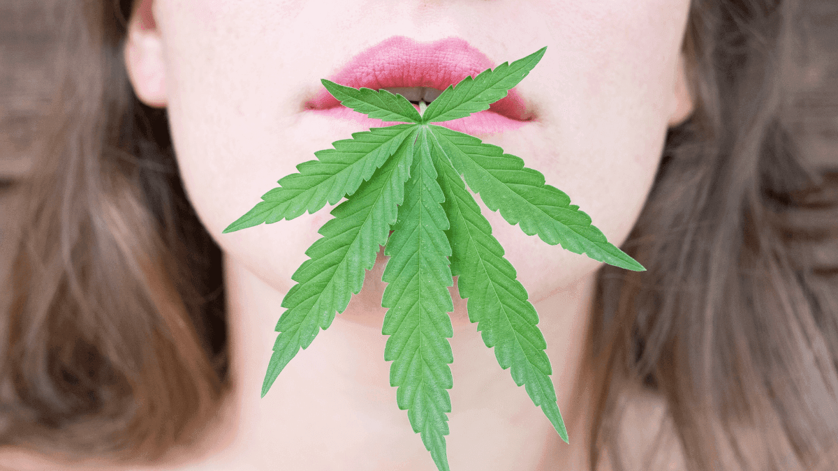 Larica? Veja quais tipos de alimentos a cannabis faz você desejar mais