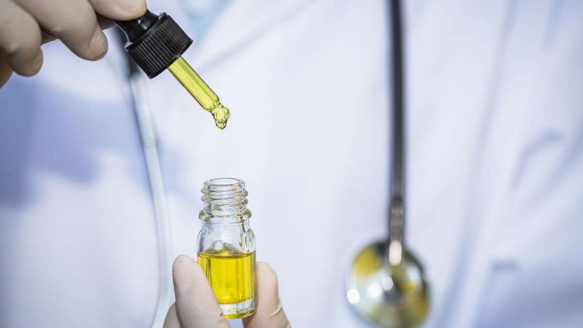 Imagem da noticia: Grau de maturidade do mercado de Cannabis Medicinal no Brasil: a expansão e as novas oportunidades terapêuticas
