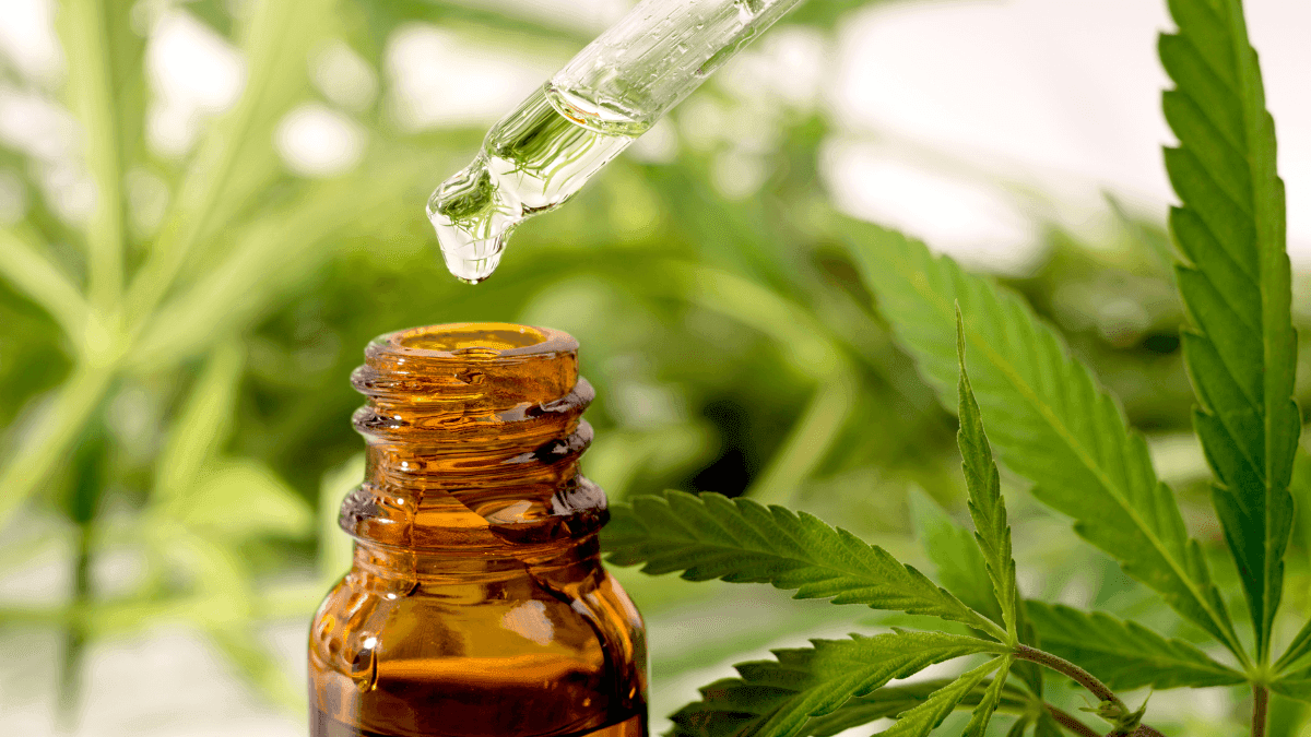 Estudo controlado por placebo aponta maior eficácia da cannabis no tratamento da enxaqueca