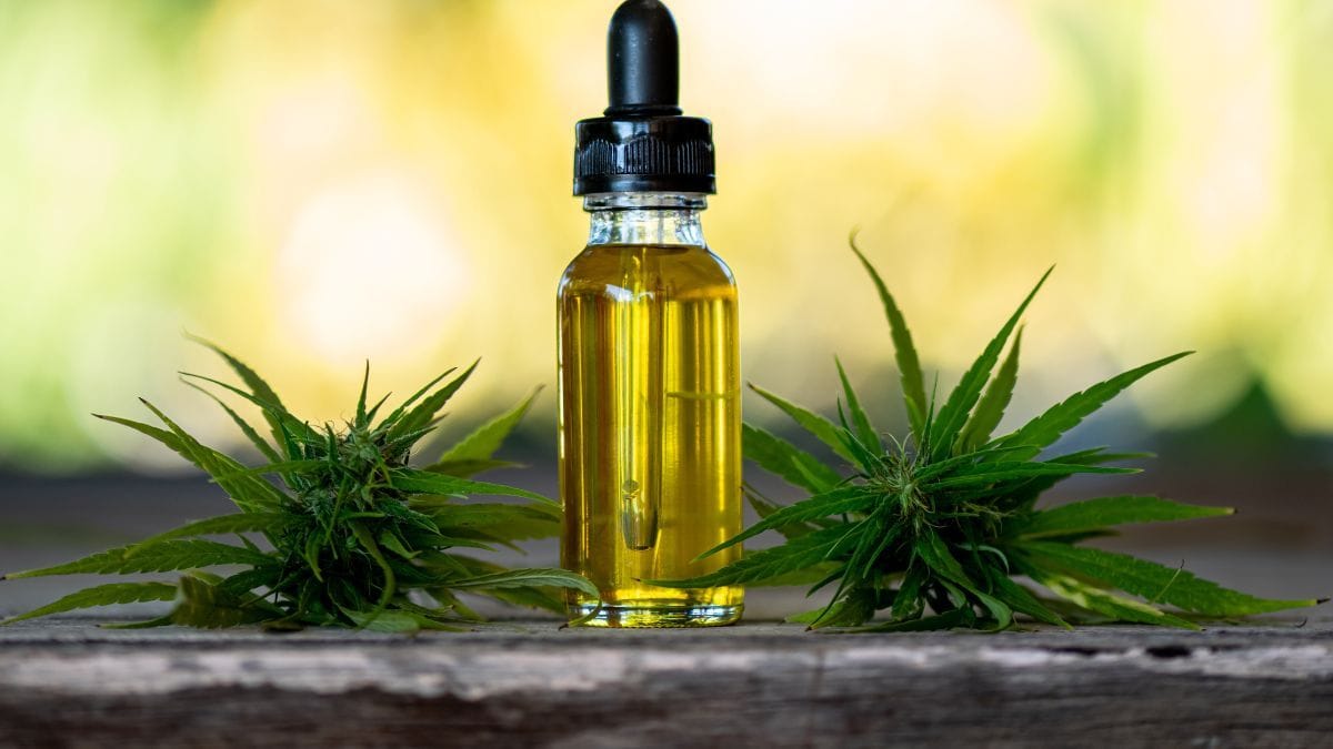 Cannabis medicinal avança na Alemanha e impacta uso de fármacos tradicionais | CanvaPro