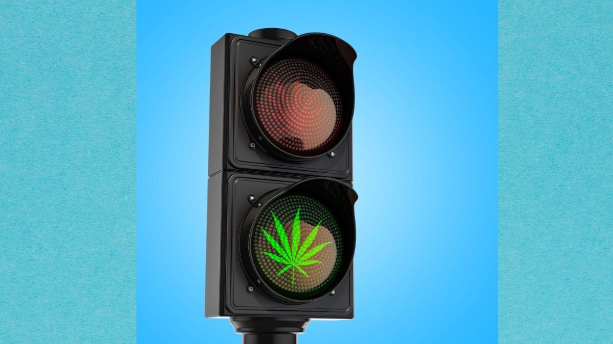 Excesso de informações desencontradas e conteúdos não científicos ainda impactam o acesso seguro à cannabis medicinal no Brasil | CanvaPro