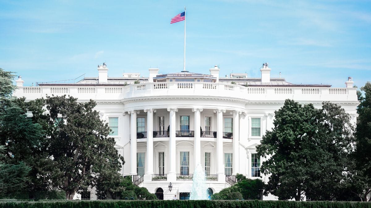 Trump redefine mercado de cânhamo: entre a regulação farmacêutica e a arrecadação federal