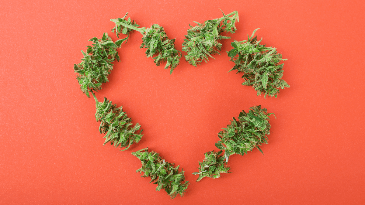 “Adultos na faixa dos 30 anos estudando padrões de uso de cannabis, destacando fatores de menor risco, saúde mental e hábitos de consumo”