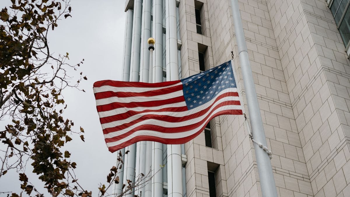 Regulação da cannabis: Casa Branca e FDA retomam discussões sobre fiscalização | CanvaPro