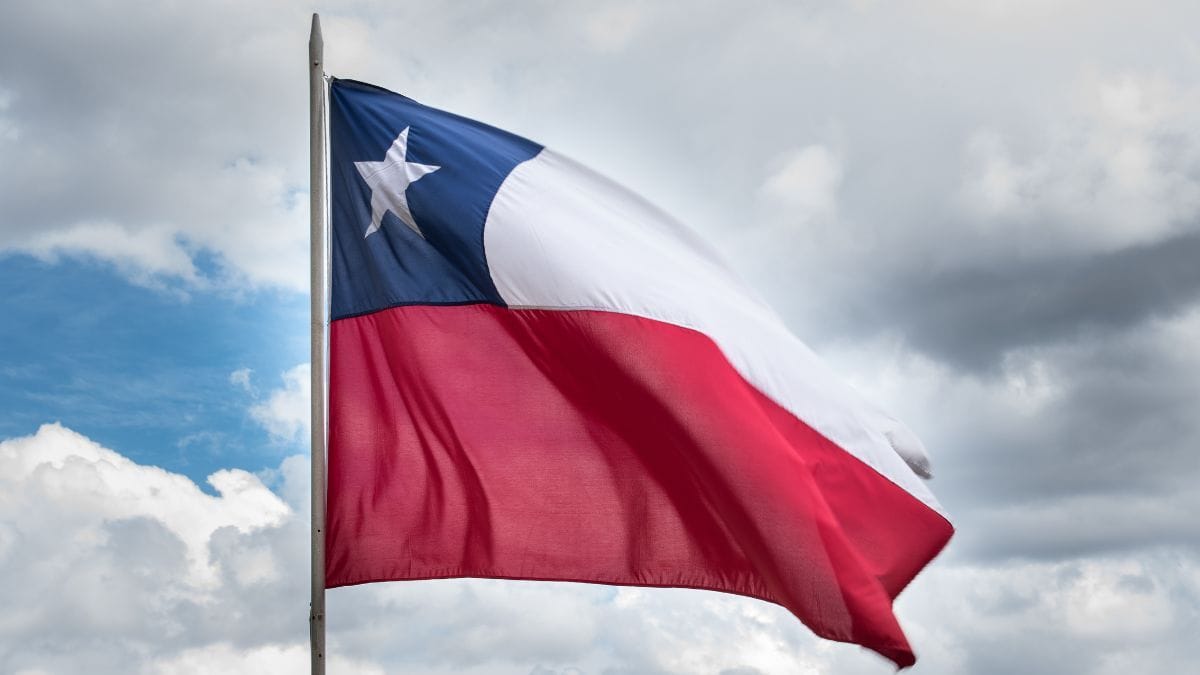 Cannabis no Chile enfrenta incertezas com novo governo conservador | CanvaPro