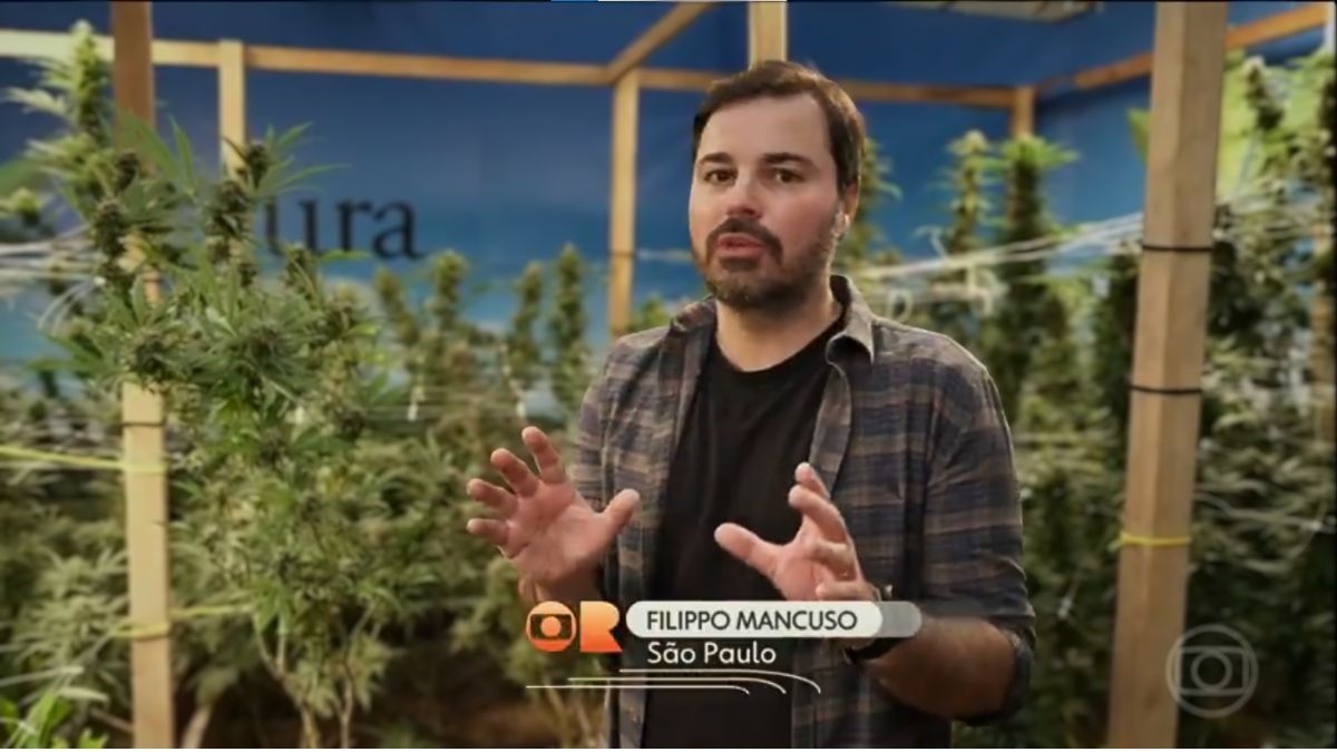 Globo Rural aborda cannabis medicinal em reportagem especial