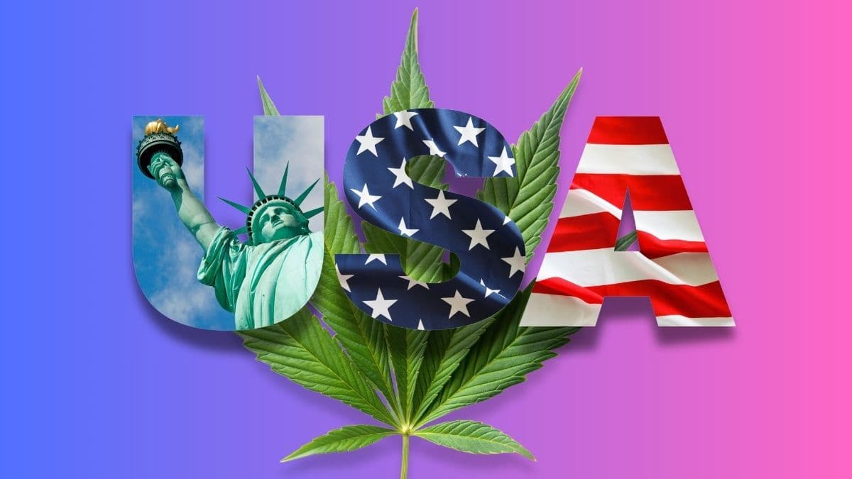 A Reclassificação da Cannabis nos EUA e o Realinhamento do Mercado Global