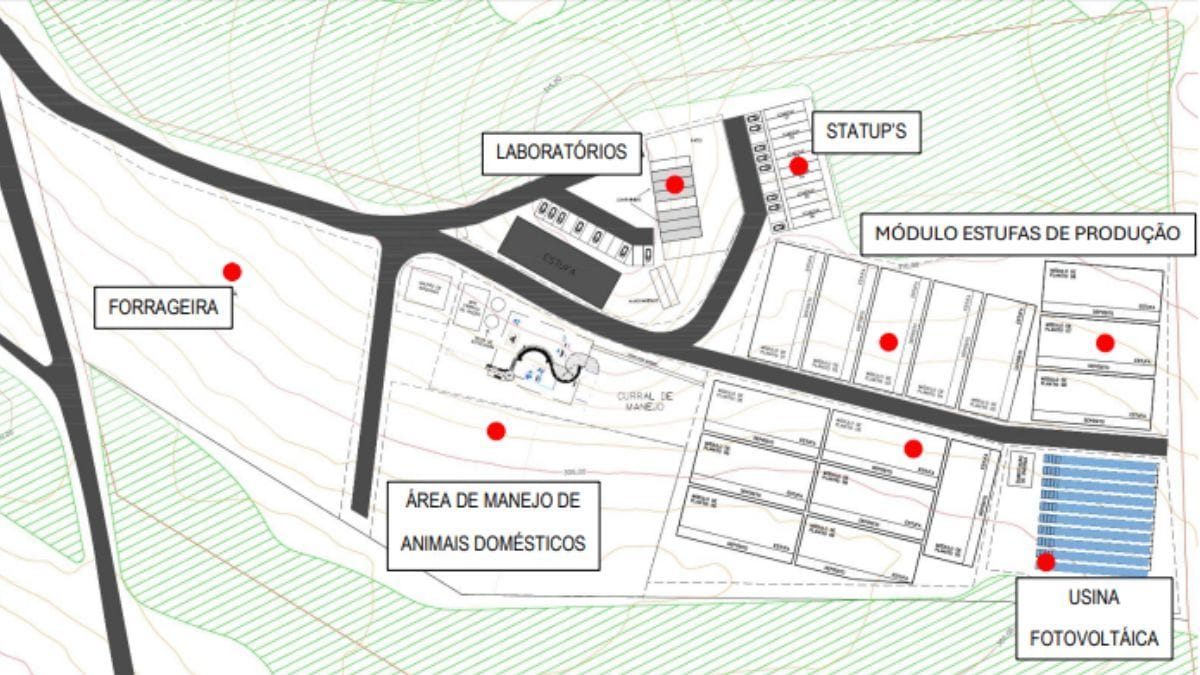 Em área de 5,5 hectares, UNESP inaugura núcleo para pesquisa e cultivo de cannabis