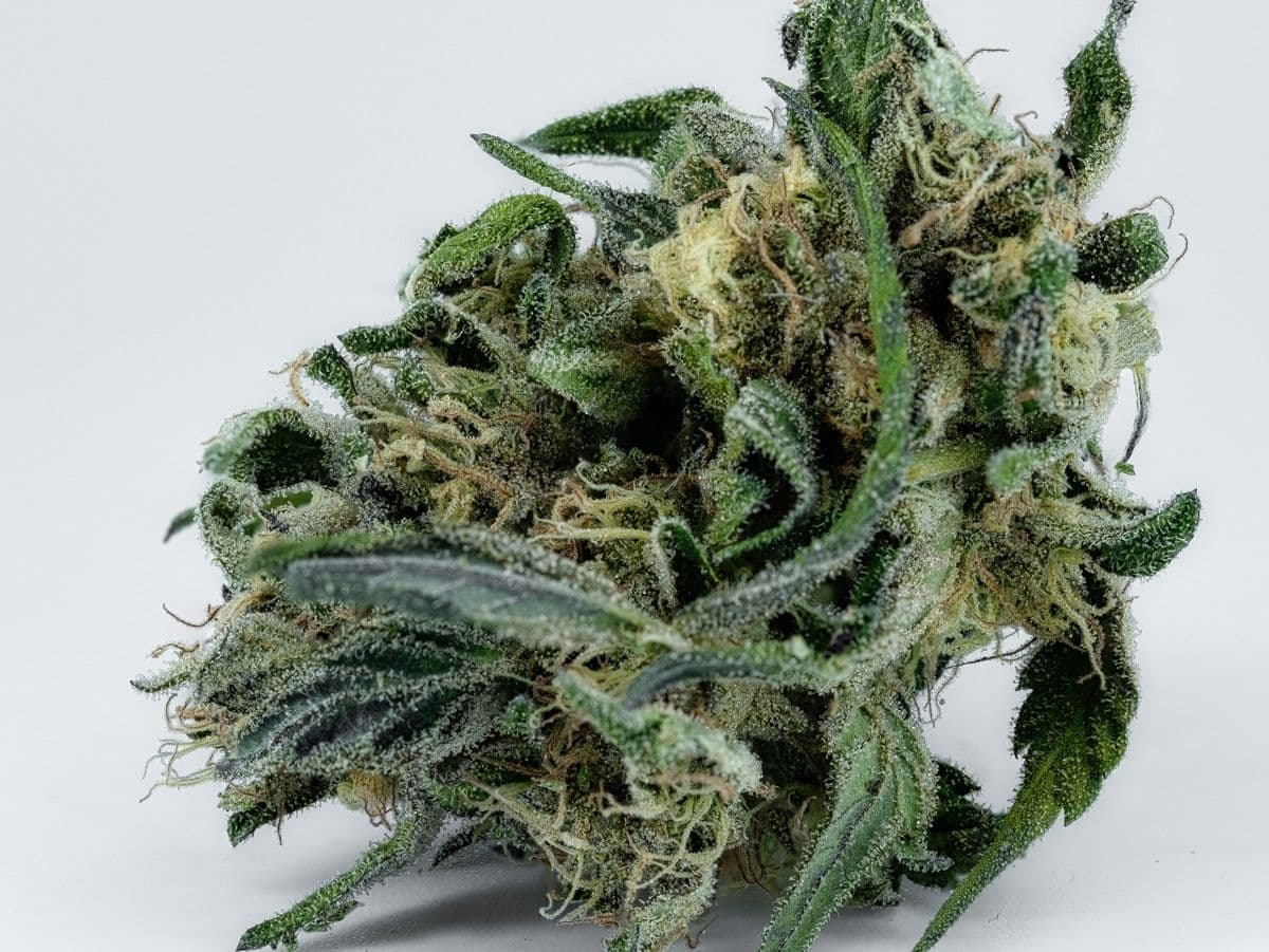 Decarboxylation of cannabis: unlocking therapeutic power