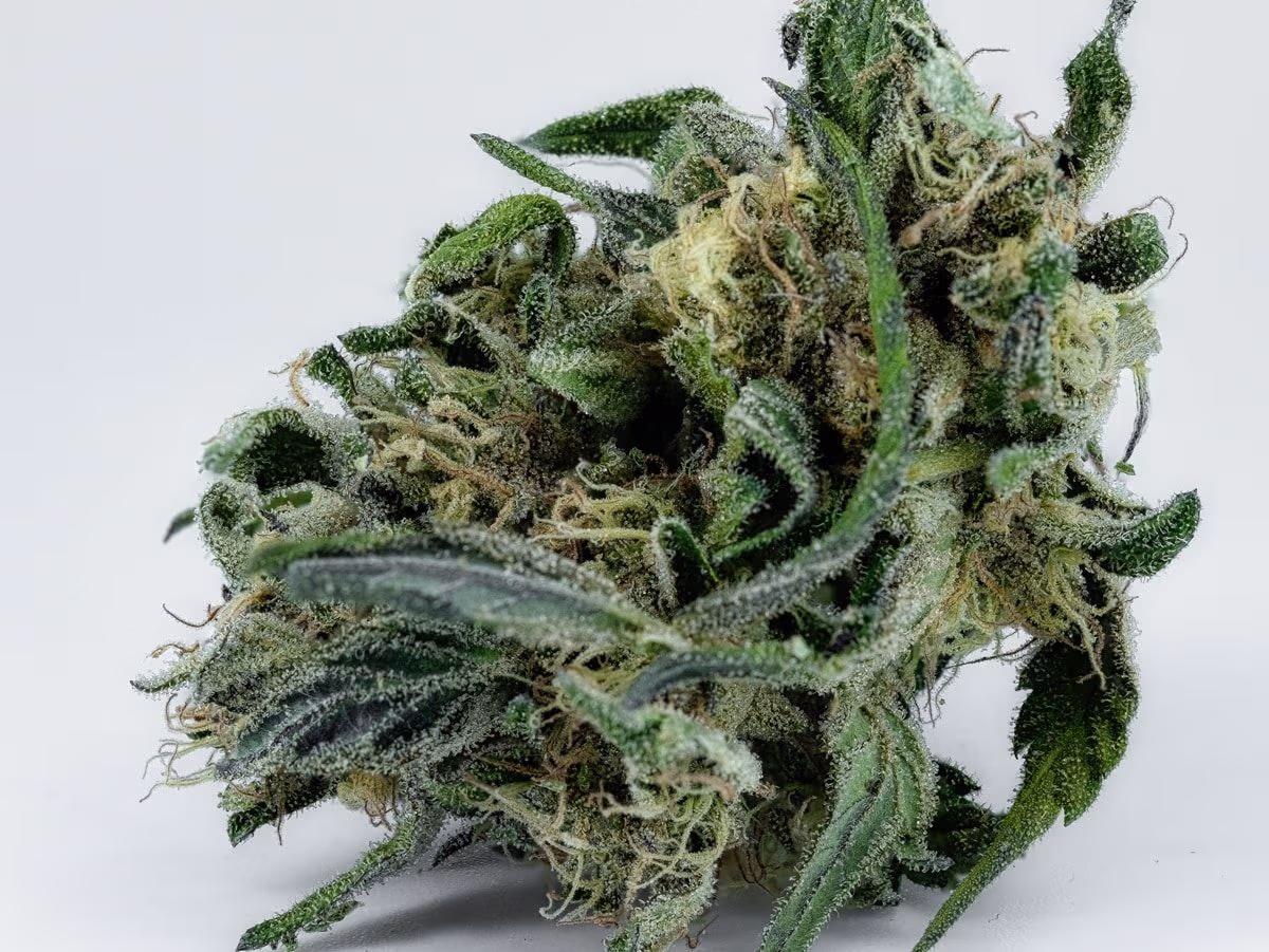 Descarboxilação da cannabis: liberando o poder terapêutico