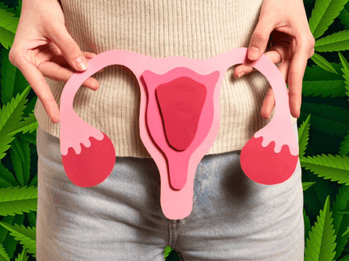 Revolutionary Discovery: Cannabinoids in the Fight Against Ovarian Cancer