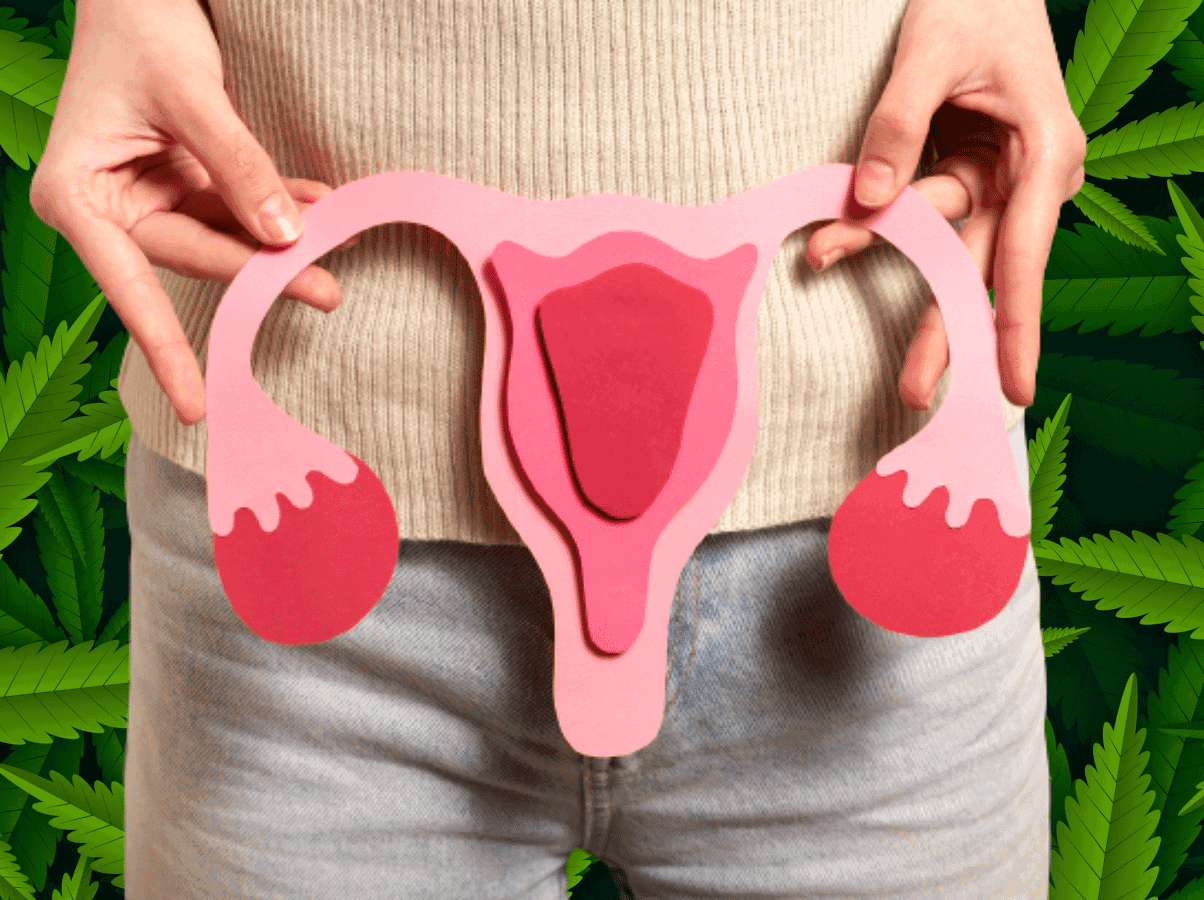 Descoberta revolucionária: canabinoides no combate ao câncer de ovário