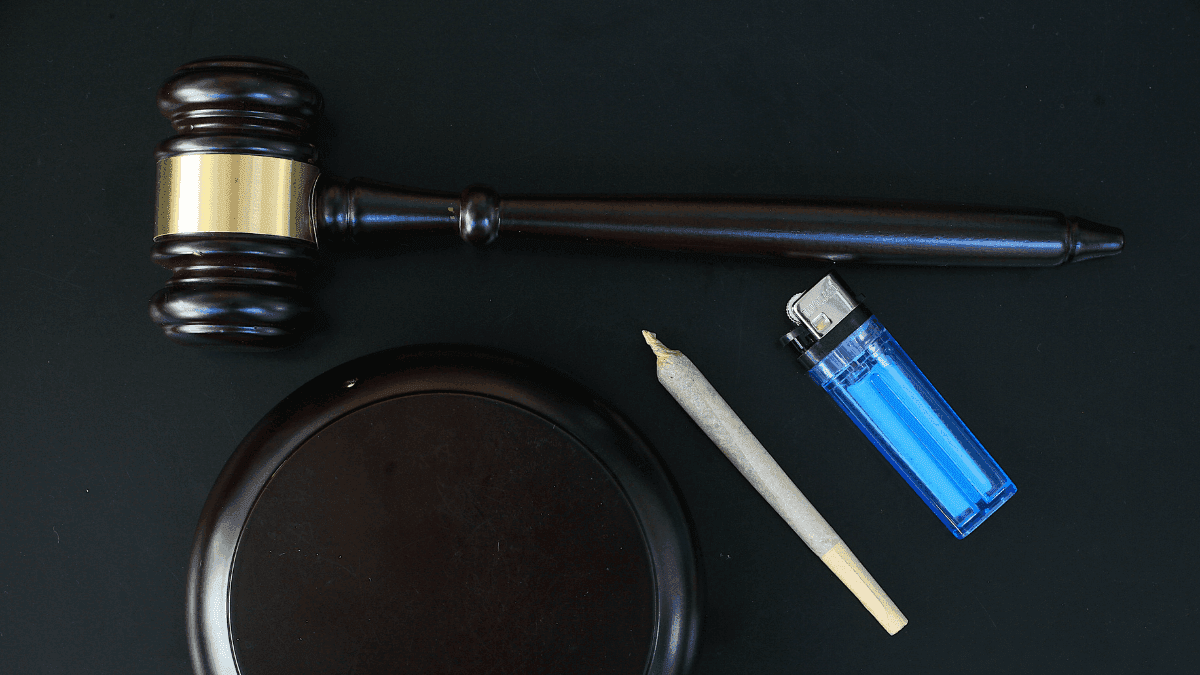 Direito canábico: muito além do Habeas Corpus para cultivo