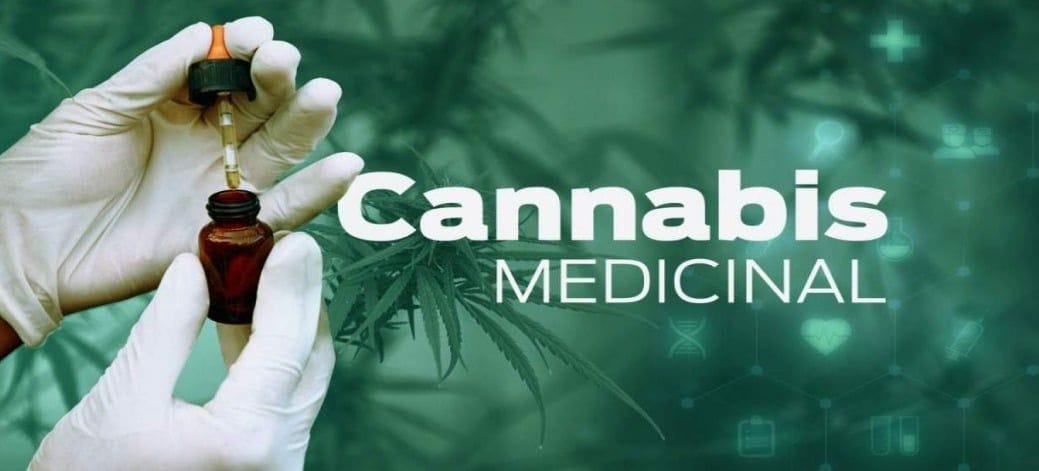 Documentário aborda os benefícios do canabidiol para uso medicinal