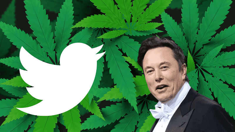 Elon Musk abre as portas do Twitter para anúncios de cannabis
