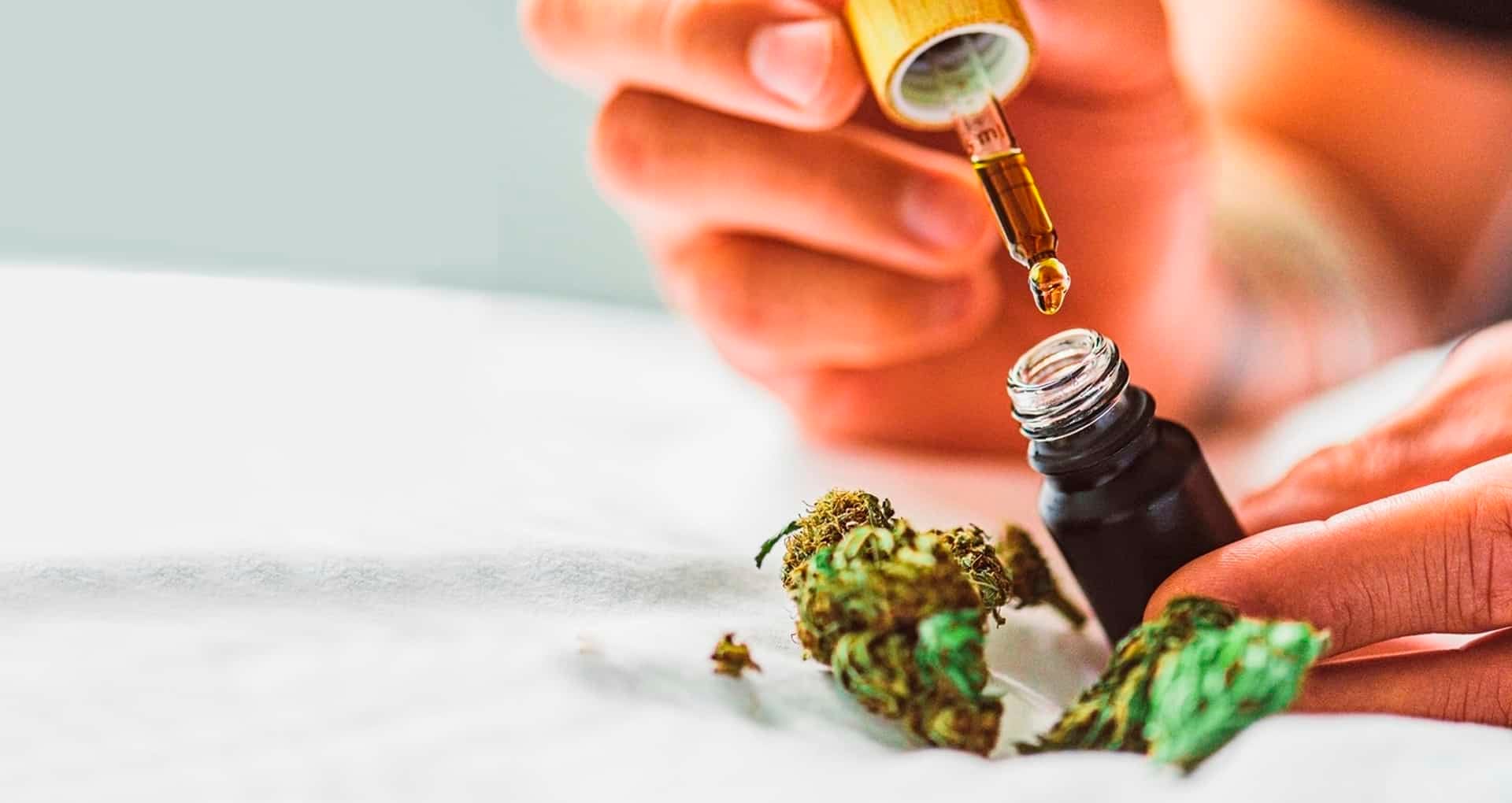 Empresa de cannabis medicinal lança novas unidades no RJ: compromisso com a qualidade e sustentabilidade