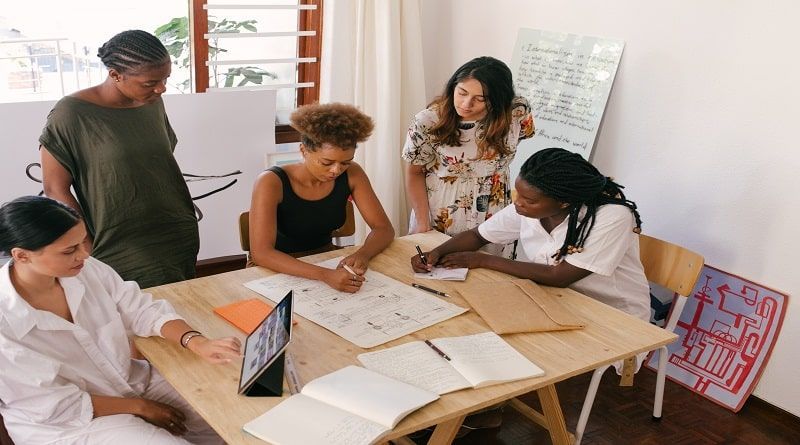 Empresa estadunidense de cannabis fornece oportunidades de empreendedorismo