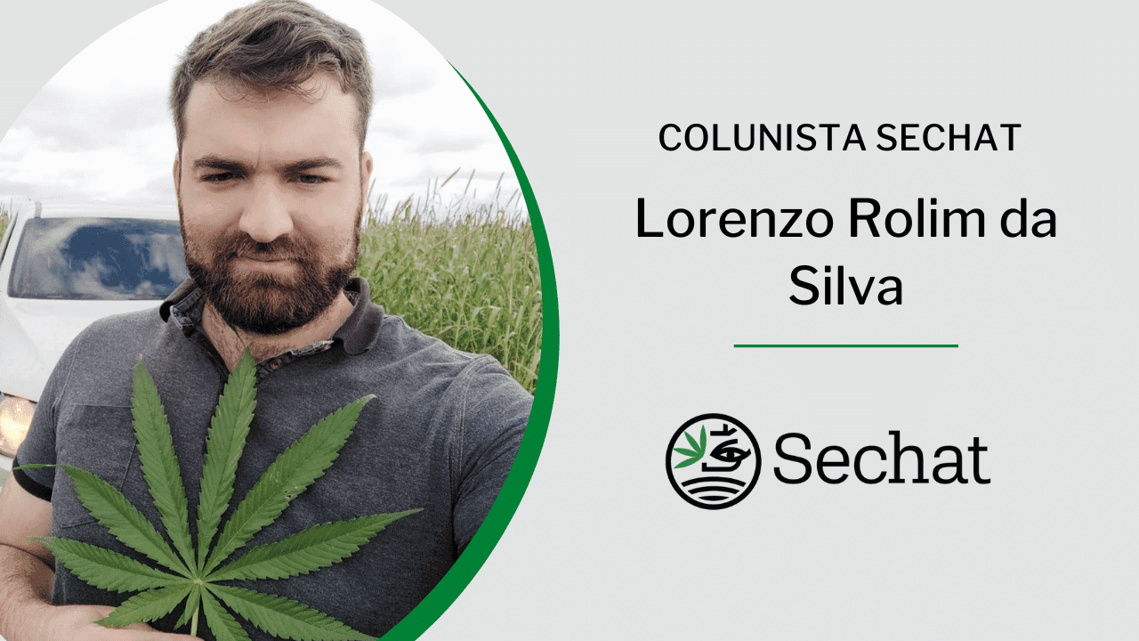 Enquanto o Brasil proíbe, no Chile o governo fomenta a pesquisa com o Cânhamo