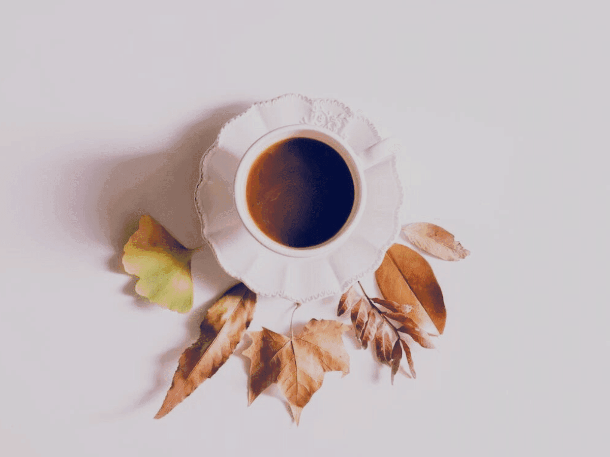 Estudo na Austrália revela uso crescente da ayahuasca em busca de saúde mental e crescimento espiritual