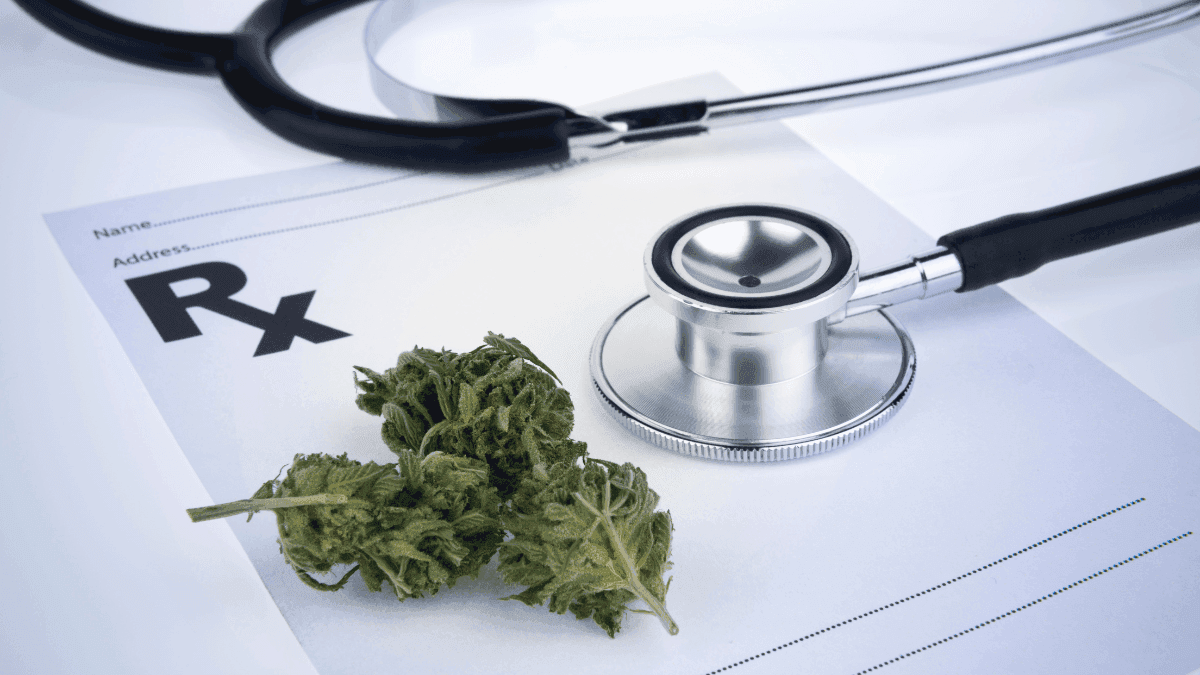 Bateu o medo do exame toxicológico? Saiba o que pode te salvar