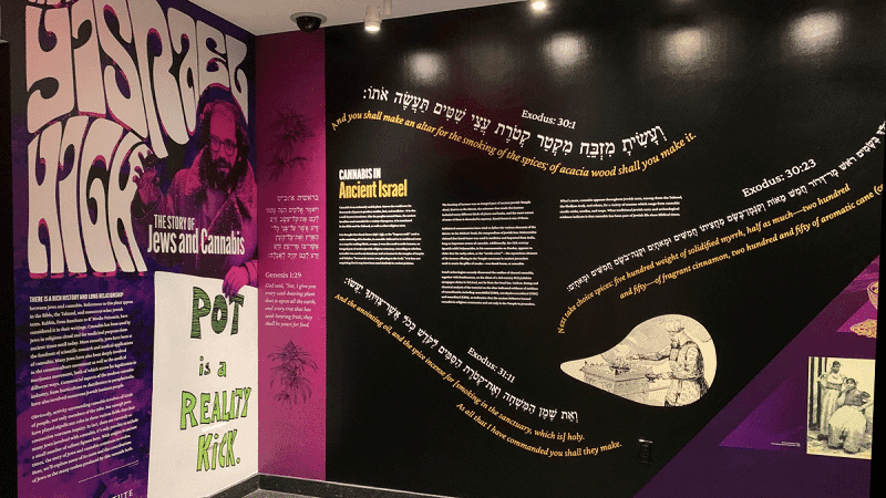 Exposição destaca a relação dos judeus com a cannabis
