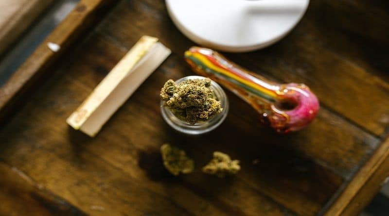 Farmácias uruguaias venderão uma nova variedade de cannabis com níveis mais altos de THC