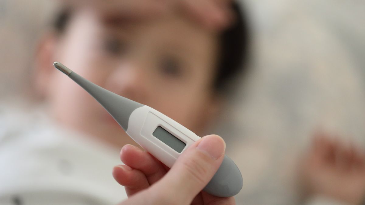 CBD reduz febre induzida por inflamação, aponta estudo da USP