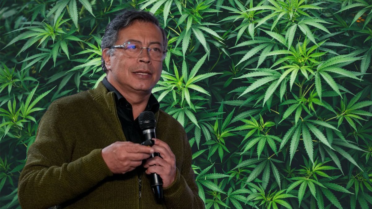 Presidente da Colômbia critica Congresso por não legalizar a cannabis