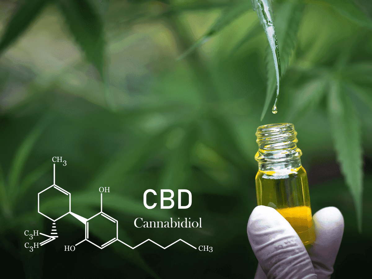 Como ter acesso ao óleo de cannabis no Brasil?
