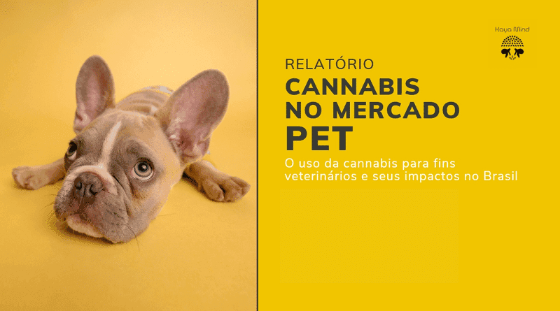 Kaya Mind lança relatório: “Cannabis no Mercado Pet”