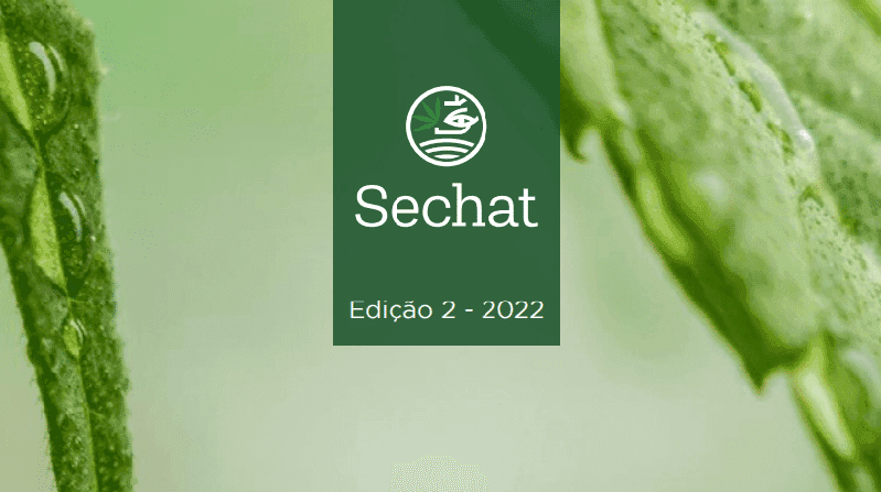 Lançamento de e-book sobre cannabis acontece no maior evento do setor canábico do Brasil