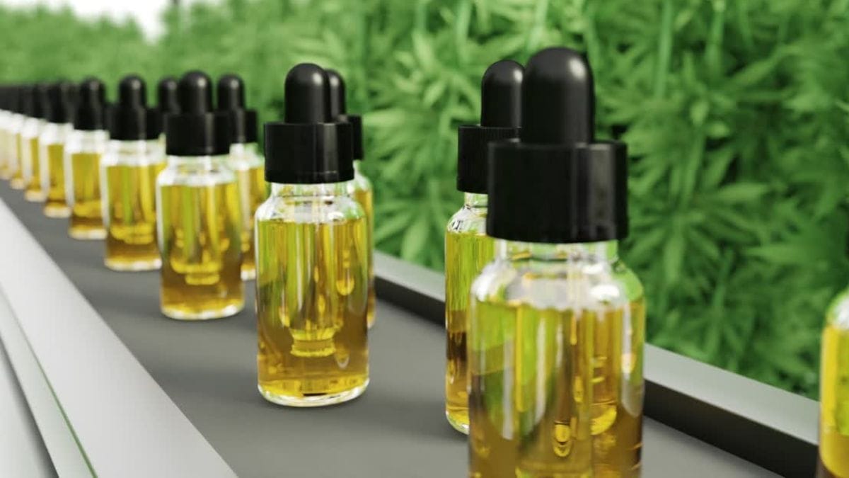 Brasil na rota da cannabis medicinal: mercado em expansão promete empregos e avanços na saúde