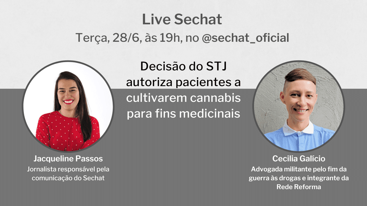 Live: STJ autoriza pacientes a cultivarem cannabis, mas o que muda com a decisão?