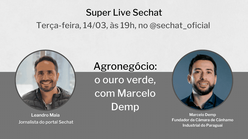 Live agronegócio: o ouro verde, com Marcelo Demp
