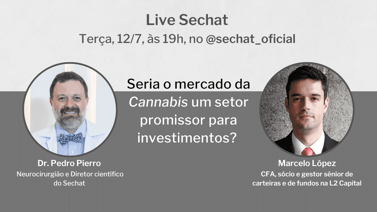 Live: seria o mercado da cannabis um setor promissor para investimentos?
